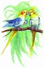 birdcockatielpair.jpg