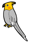 cockatielbird.gif